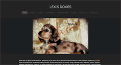 Desktop Screenshot of lexisdoxies.com