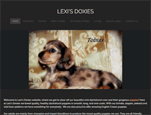 Tablet Screenshot of lexisdoxies.com